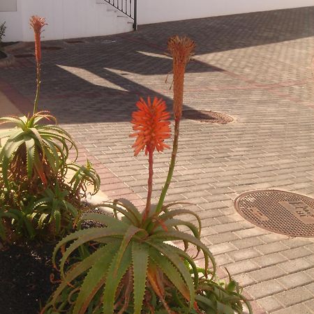 Villas Salinas De Matagorda エクステリア 写真